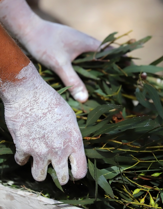 Greater Adelaide Regional Plan - Hands with native Australian leaves.